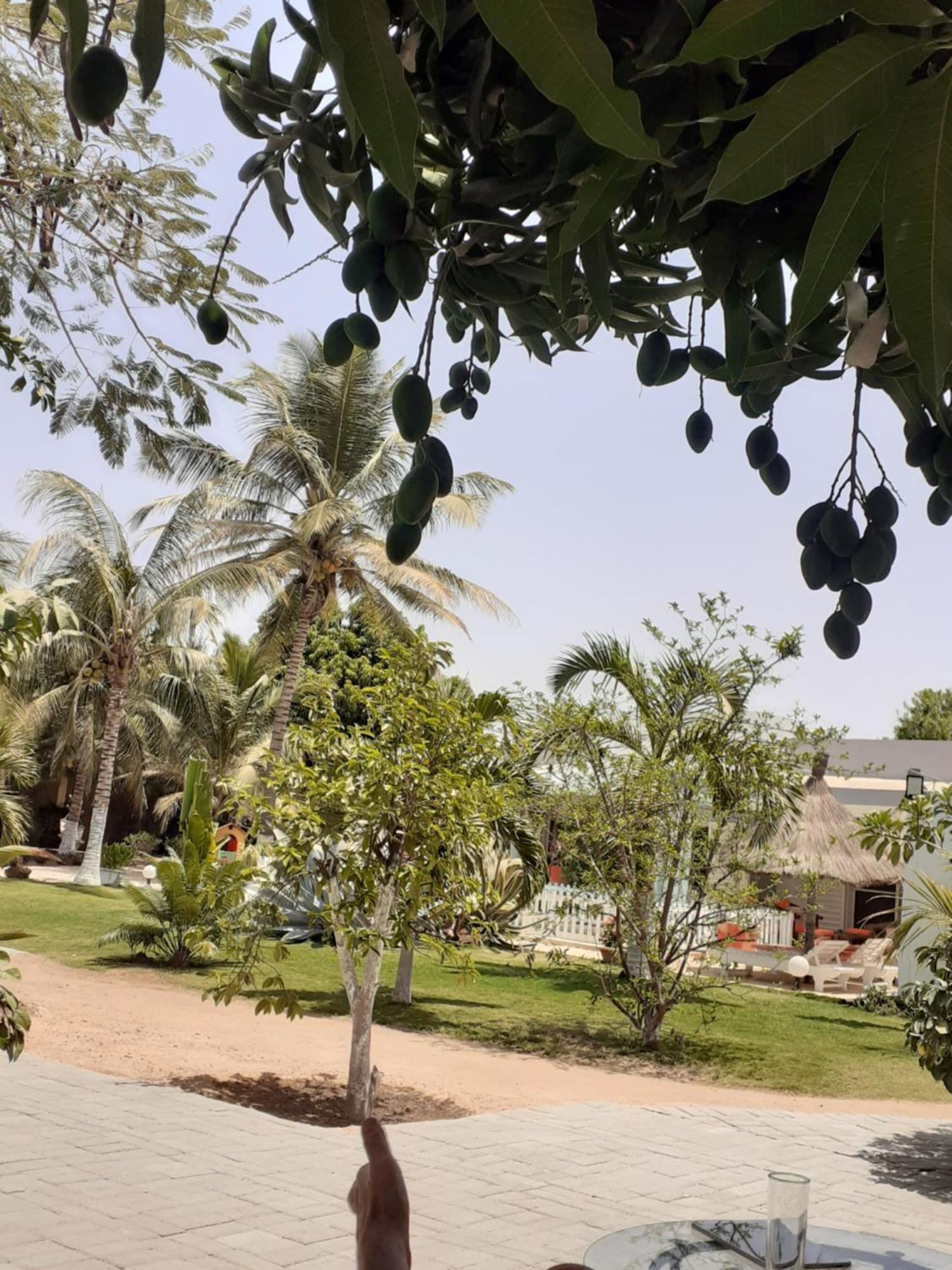 Chambre D'Hote Les Vacanciers Nianing المظهر الخارجي الصورة