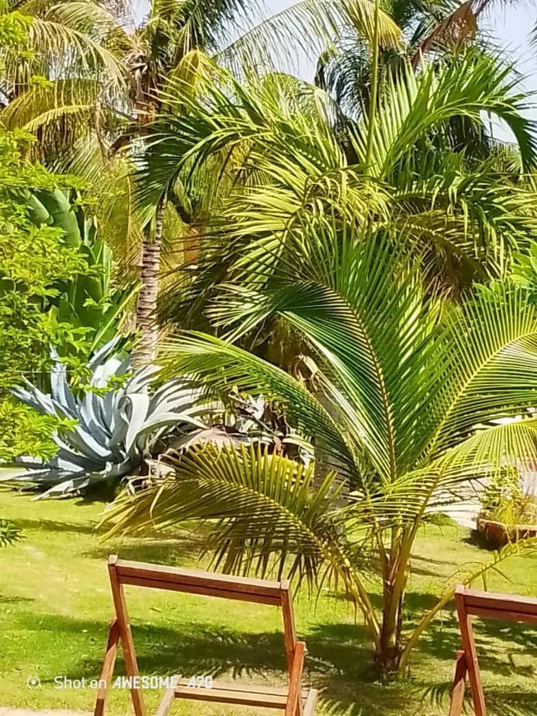 Chambre D'Hote Les Vacanciers Nianing المظهر الخارجي الصورة